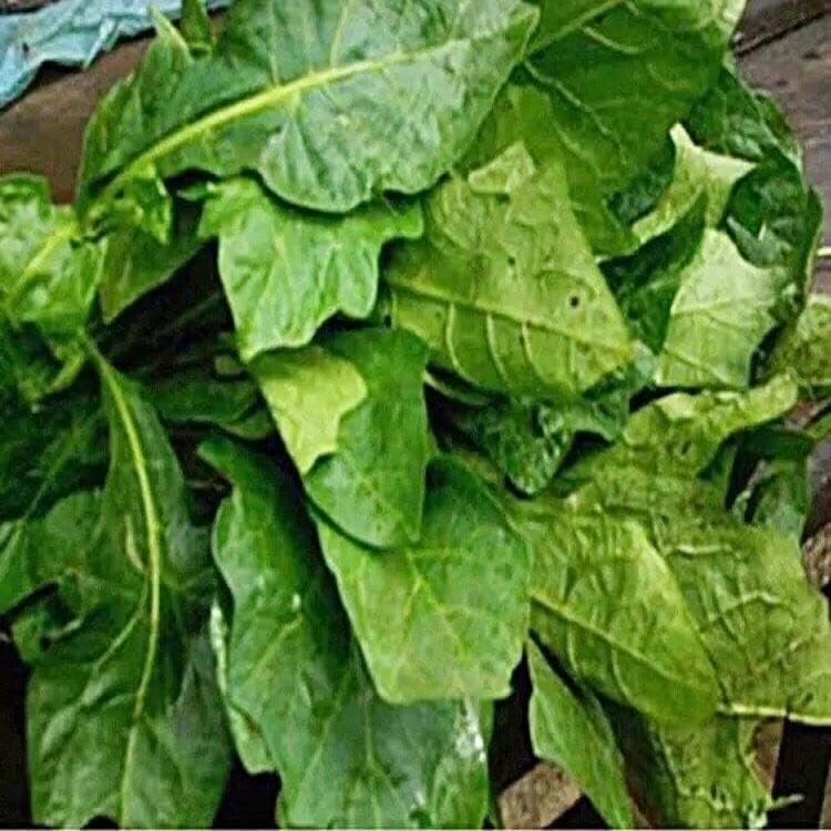 leafy-vegetable-750x750